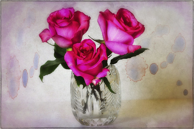 My artsy pink roses