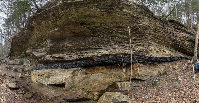 Panorama, Pennsylvanian sandstone and bituminous coal outcrop, Big South Fork, Scott County, Tennessee