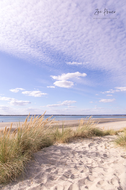 Sand dunes at East Head, West Wittering beach, Sussex - Ref. 1051