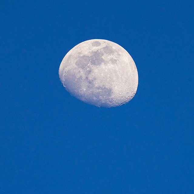20220212青空に浮かぶ月