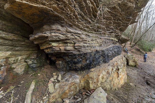 Pennsylvanian sandstone and bituminous coal outcrop, Big South Fork, Scott County, Tennessee 2