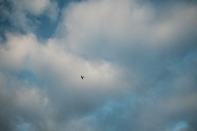 The Lone Airplane