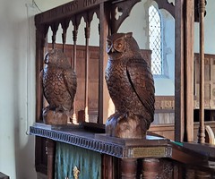 lectern owls