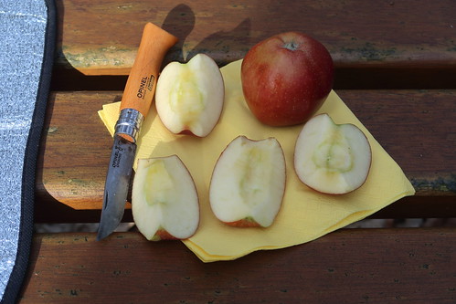 Aufgeschnittener Apfel