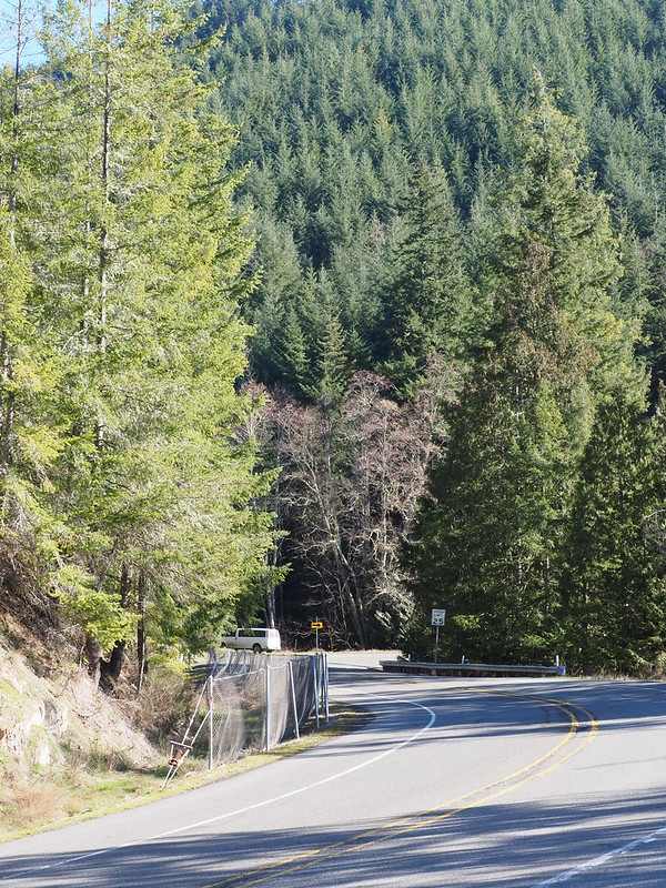 Washington State Route 7