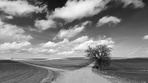 path road tree landscape cloudscape clouds nature bnw blackandwhite land earth outdoors oneplus nord2