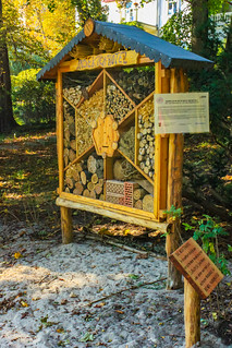 Insektenhotel im Rhoda-Erdmann-Park in Grunewald
