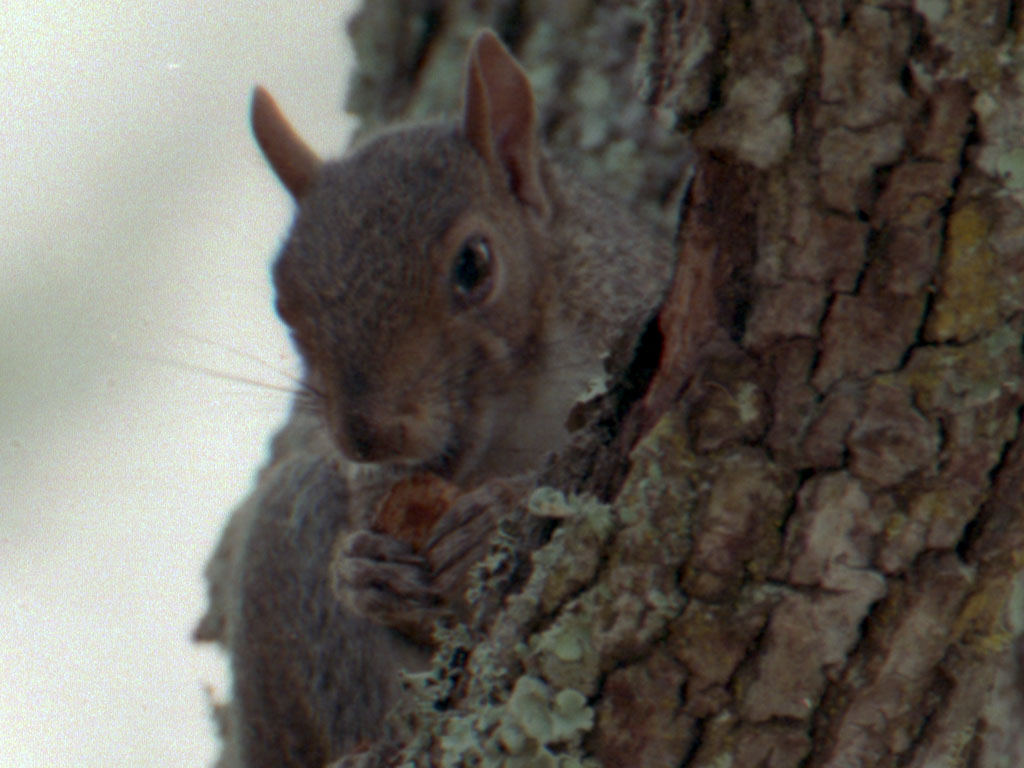 51881937784_d72cc614fe_o.jpg