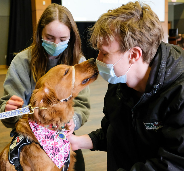 Pause for Paws Therapy Dogs at UW-Green Bay