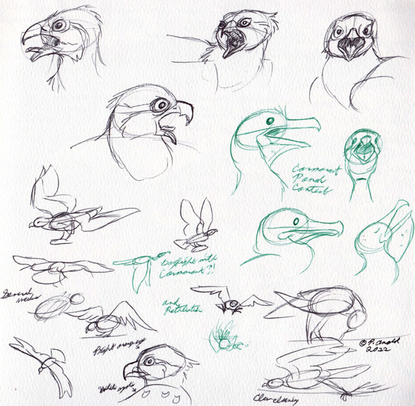 1.27.22 - "Nature: Season of the Osprey" Sketches