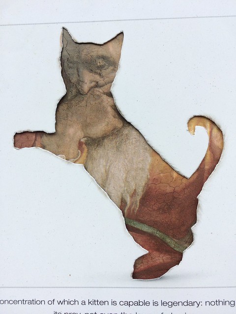 "The Prophet Jeremiah as a Kitten in The Sistine Chapel"