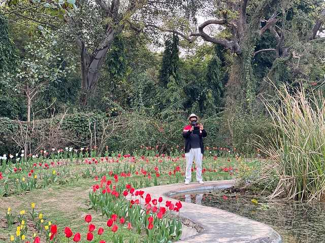City Hangout - Tulip Garden, Lodhi Gardens