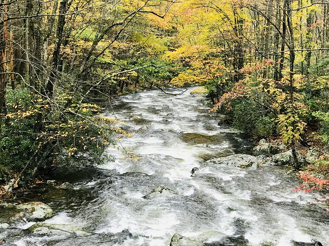 The Great Smoky Mountains National Park, Townsend, Tennessee, October 31, 2019.