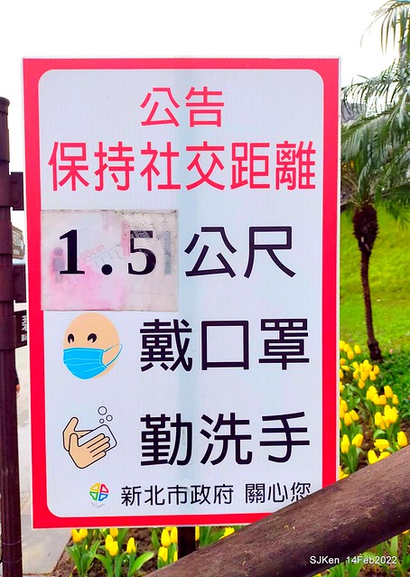 「新店碧潭風景區鬱金香花海」(Tulid blossoms at Pi lake), Hsinpei city, North Taiwan, SJKen, Feb 14, 2022.