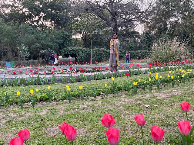 City Hangout - Tulip Garden, Lodhi Gardens3