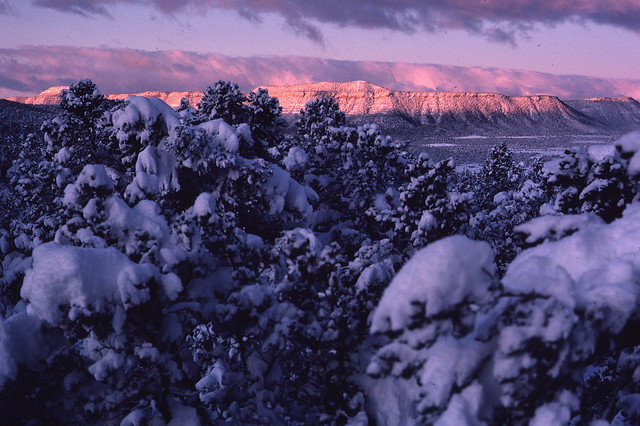 Sunrise color on Rowe Mesa, winter morning {Explored}