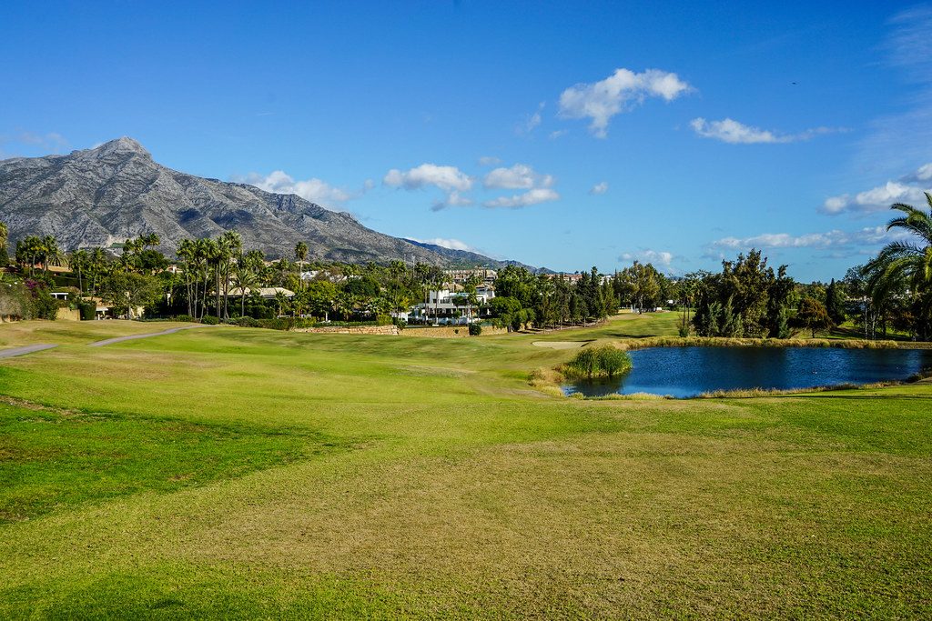 Grass portion of a golf course, with a small pond further back on the right of the picture. Bushes and a couple palm trees are on the far side of the pond. On the left side of the photo, a narrow paved path is showing, passing by a line of palm trees. Behind the trees there’s more vegetation, a couple villas barely visible and further back, a mountain peak