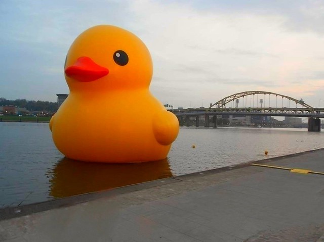 One Big Ducky