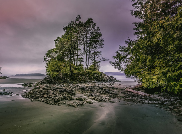 The Wild Coast of Vancouver Island