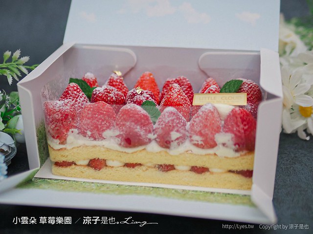 台中草莓蛋糕 小雲朵甜點工作室 預購制 草莓樂園 菜單 台中甜點下午茶