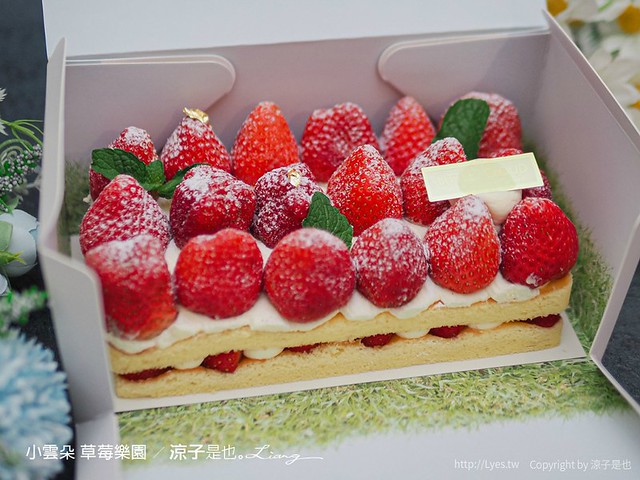 台中草莓蛋糕 小雲朵甜點工作室 預購制 草莓樂園 菜單 台中甜點下午茶