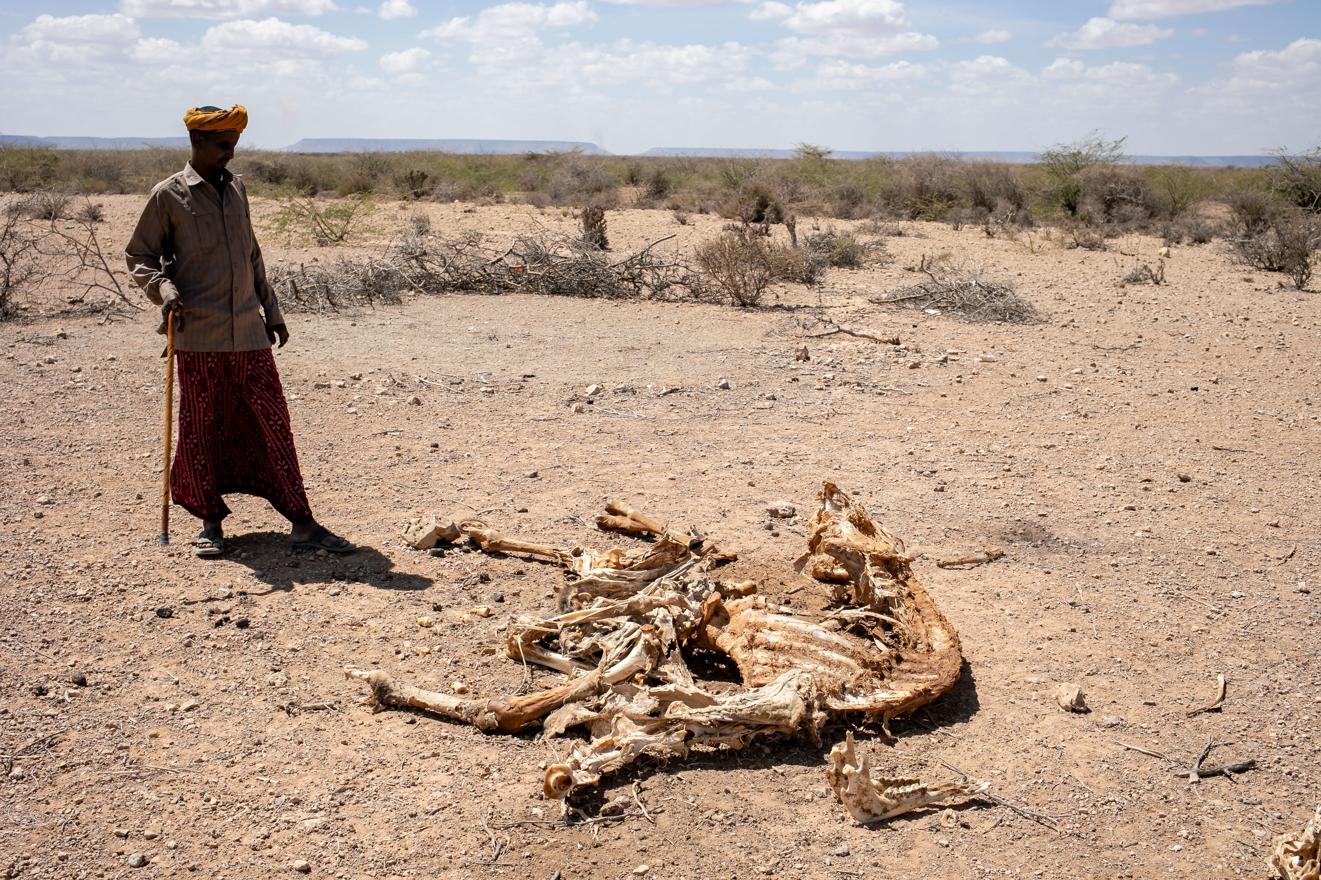 Somalia: Rural families hard hit by drought in Hirshabelle State