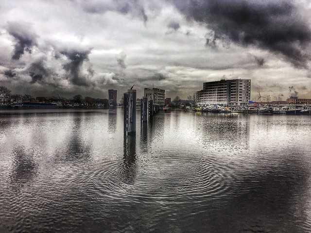 ‘Another water circle of life and death’ on a cloudy day in Zaandam