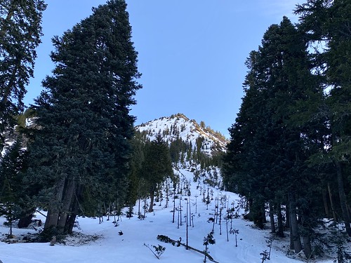Looking up at Red Mountain