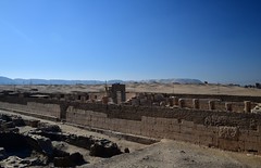 26871: Temple of Ramesses II at Abydos