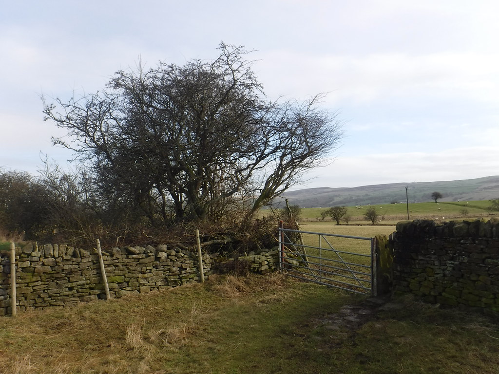 Barnoldswick to Earby 17 | Lancashire | StaircaseInTheDark | Flickr