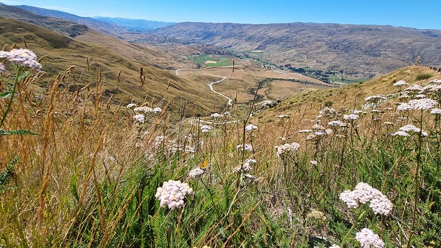 The scale of nature | Cardrona Skifield Road