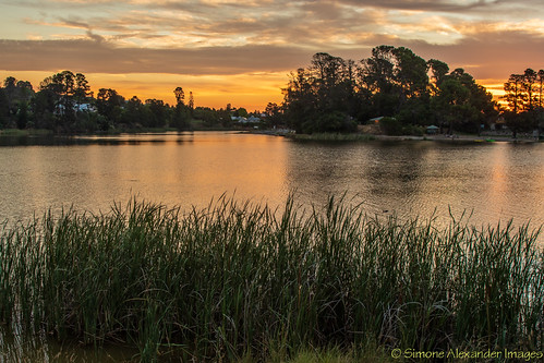 Beechworth - Lake Sambell by simone_a13, australia victoria beechworth lake sunset water orange