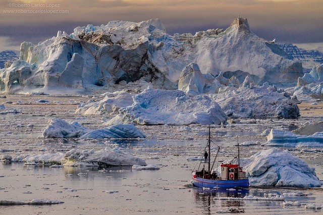 Navegando entre icebergs en Groenlandia