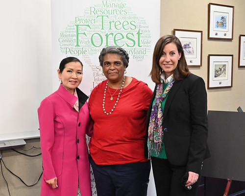 Photo of three women in front of poster about trees