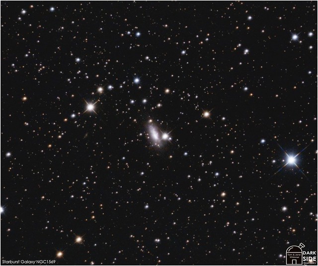 Starburst Galaxy NGC 1569