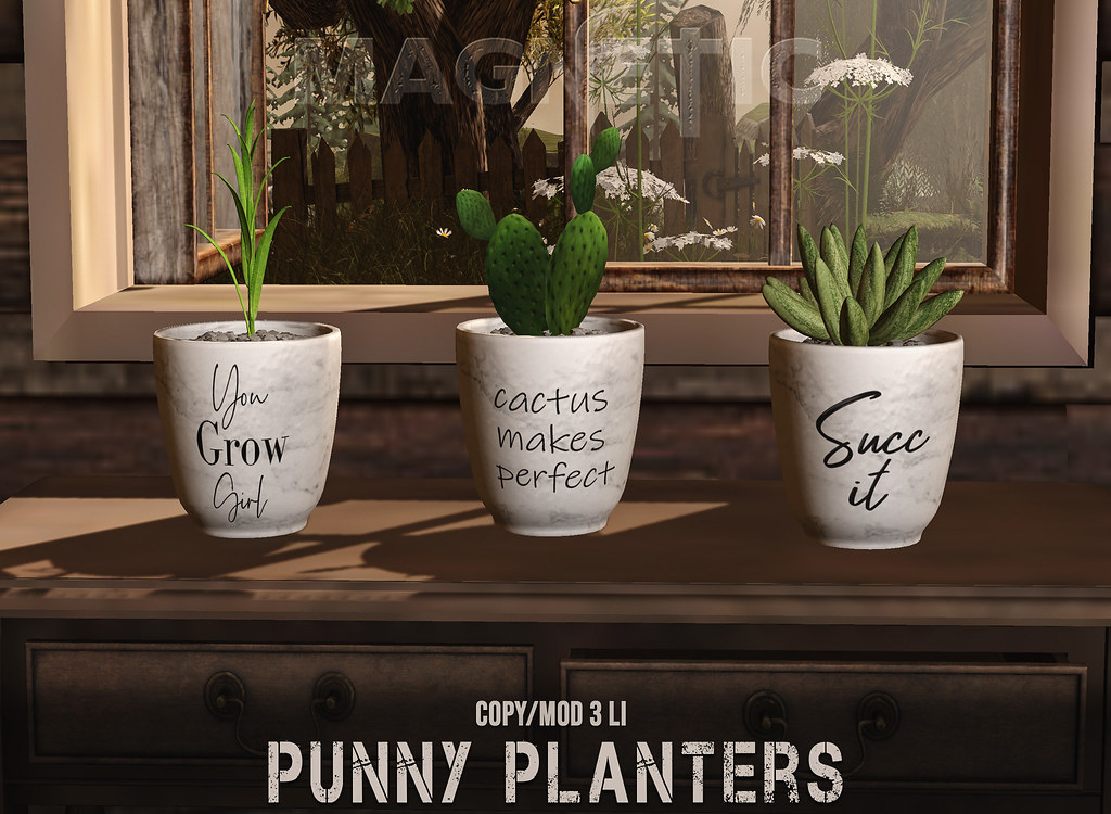 Magnetic – Punny Planters