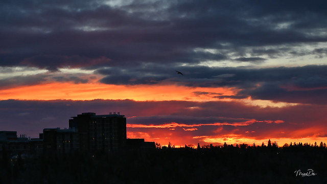 Sunset over Edmonton