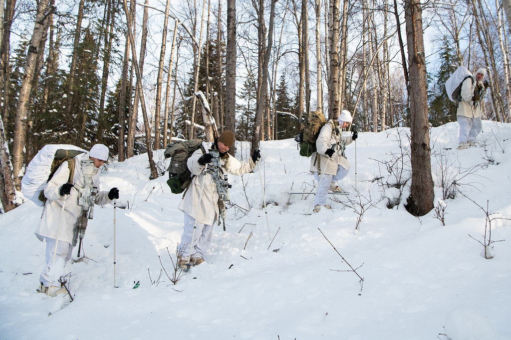 Paratroopers use cross-country skis to more efficiently travel between hide sites during reconnaissance training