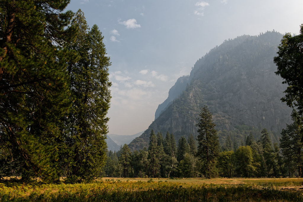 From Year to Year I Wander 'Round (Yosemite National Park)