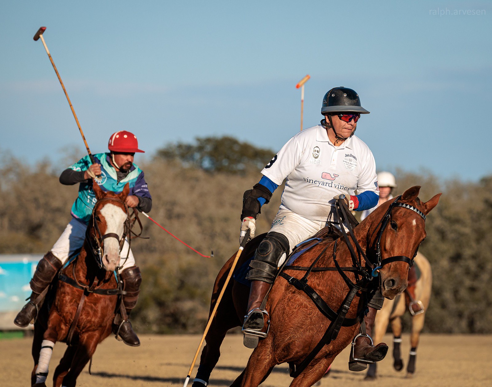 Polo | Texas Review | Ralph Arvesen