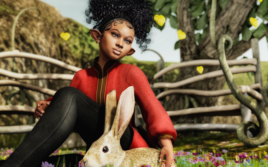 Got the Rabbit . . . | “I am Rabbit. I can be anywhere. I… | Flickr