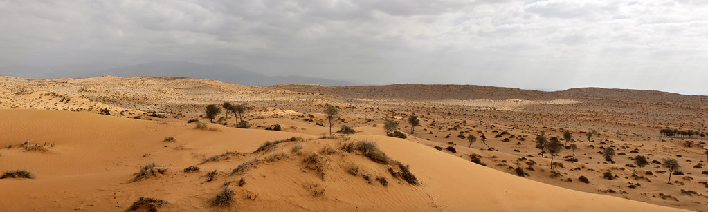 Al Kihef Series (Typic Haplocalcids, sandy, carbonatic, hyperthermic); Ras Al Khaimah,  UAE