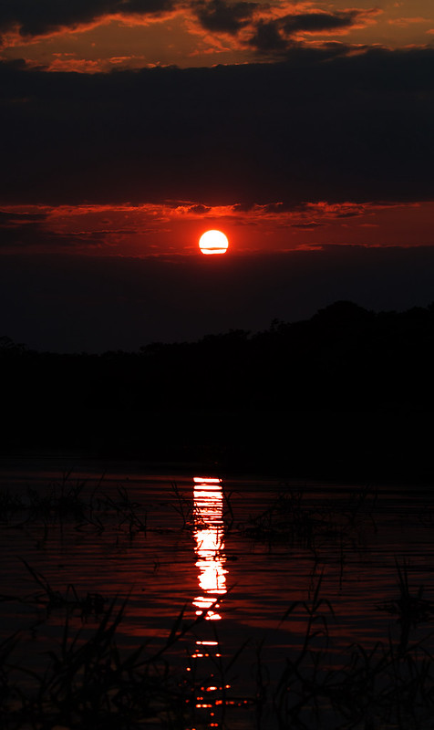 * sunset in the Amazon_Ascanio_Amazon Cruise_DZ3A8804