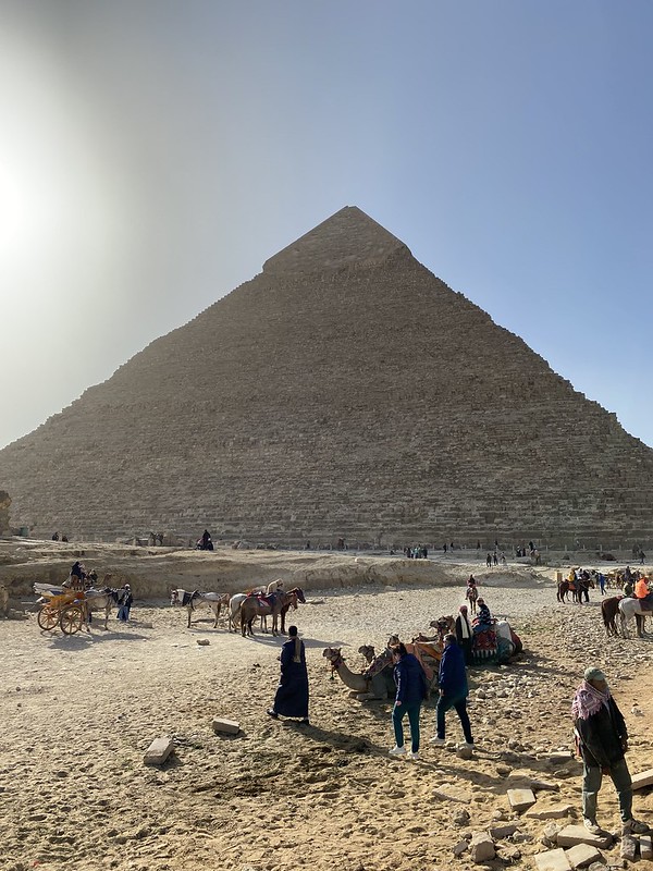 Египет - Гиза - Пирамида Хеопса и верблюды