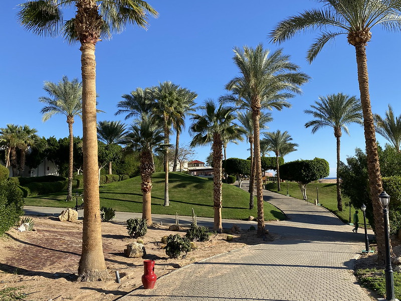 Египет - Шарм-эль-Шейх - Отель Movenpick Sharm El Sheikh - Дорожка в город