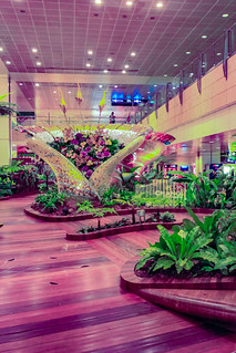 Im Enchated Garden im Changi Airport in Singapur