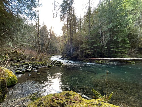 Big Quilcene River at the Canyon Base