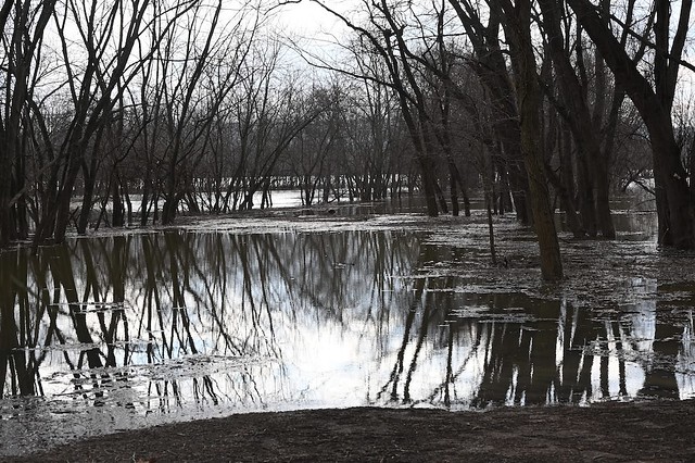 Flooded Road at Oxbow Nature Preserve