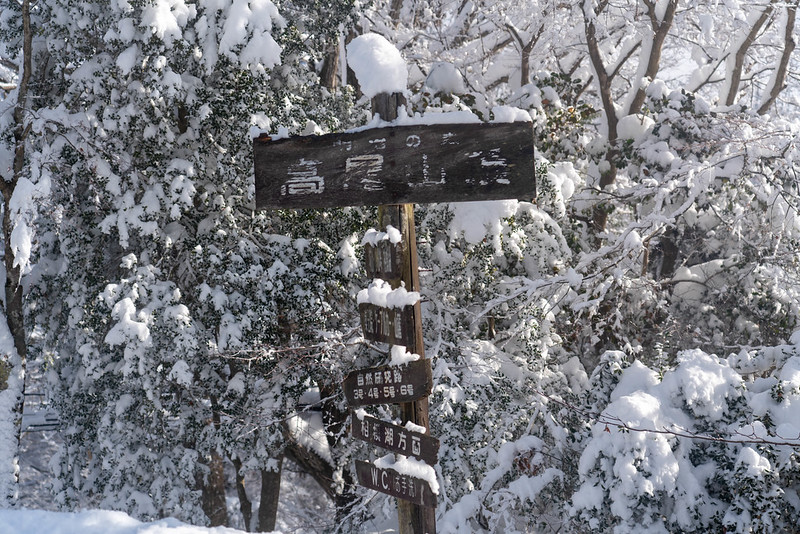 高尾山頂