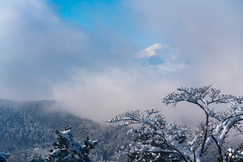 高尾山からの富士山